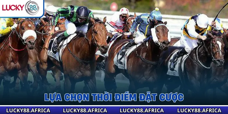 Lựa chọn thời điểm đặt cược